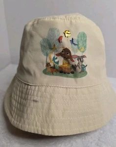 Walt Disney Parks 2023 Wish Movie Valentino & Star Bucket Hat NWT - Picture 1 of 11