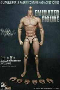 ZC Toys 12" muskulöse männliche Actionfigur Körperpassform 1/6 Maßstab Heißspielzeug Kopfform - Bild 1 von 7