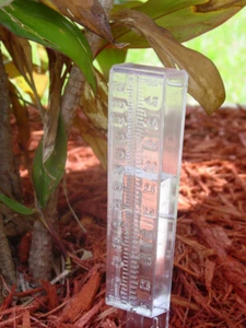 Water Rain Gauge Clear Plastic Garden Tool - Picture 1 of 1