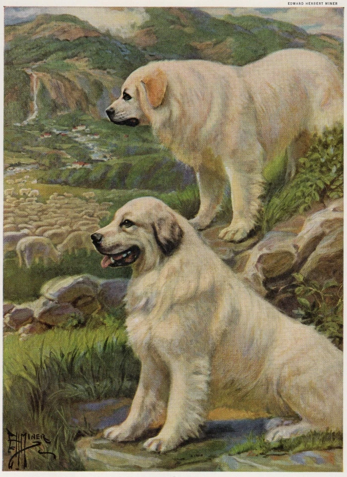 Great Pyrenees "Protection Duo" - PERSONALIZADO MATE - Impresión artística de perro a color vintage Foto 1 de 1