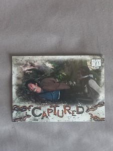 2018 Topps The Walking Dead Road to Alexandria Captured #CA9 Glenn And Michonne 