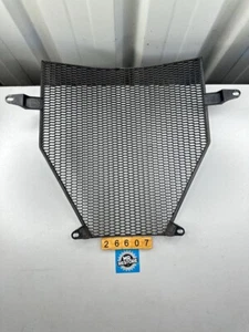 BMW K1200S K1300S K1300R K1200R K1300GT K1200GT K1600 Radiator Grille - Bild 1 von 2