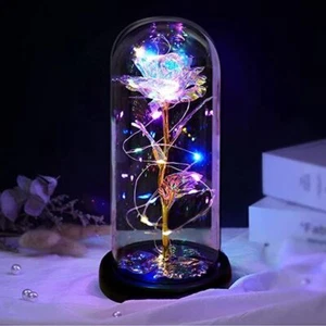 Romantic Eternal Rose In Glass Flower Dome LED Light Holiday Birthday Gifts - Picture 1 of 12
