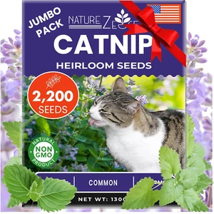 Catnip Seeds for Planting, 2200+ Herb Seeds, Indoor or Outdoor Growing, Cat Nip  - Picture 1 of 13