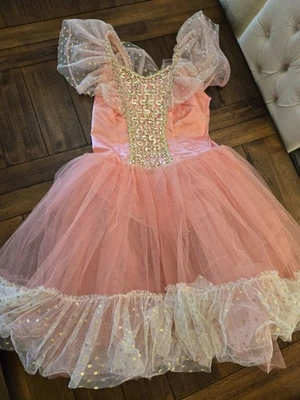 Women’s Adult Cinderella Cosplay Halloween Costume Princess Dress Hand Made - Image 1 of 4