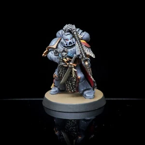 Pro Painted Warhammer 40k Space Wolves Space Marine - Picture 1 of 5