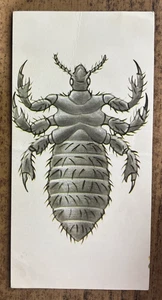 De colección - 1962 - Gelles Widmer - Tarjeta de insectos - Piojo humano. o Cootie - Imagen 1 de 3