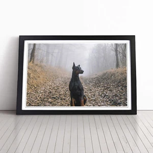 Doberman Dog (3) Wall Art Print Framed Canvas Picture Poster Decor Living Room - Picture 1 of 7