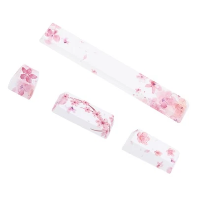  1 Impostare tappi chiave tappi Spacebar ESC Immettere la fornitura di tasti di - Image 1 of 4