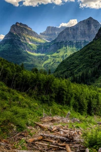 Glacier National Park Montana History Mountain Picture Wall Decor - POSTER 20x30 - Picture 1 of 4