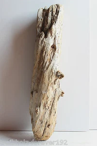 Madera flotante/madera aluvial 1 escultura, manualidades decoración jardín Pascua arte XXX33 - Imagen 1 de 9