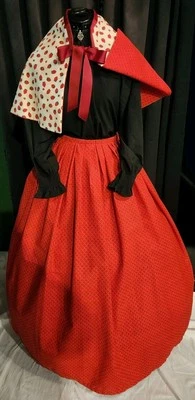  Victorian/ Renaissance versatile strawberry skirt and Cape One Size fits all  - Image 1 of 4
