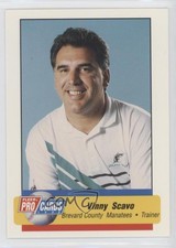 1995 Fleer ProCards Minor League Vinny Scavo #264