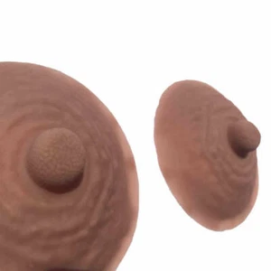 Brustwarzenaufkleber Silikon Zitze Brustwarzen weiblich falsche Brustwarze Brustbrust Erwachsene - Bild 1 von 6
