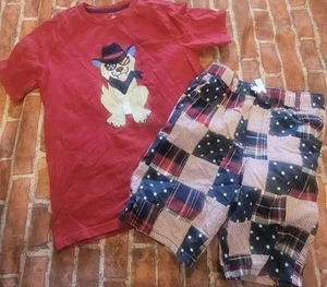 Gymboree Boys 4th Of July Boys Set Sz 12 Worn Once Puppy Patriotic - Picture 1 of 1