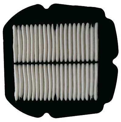 Filtro de aire calidad OE se adapta a Suzuki SFV650 Gladius (2009 a 2015) Foto 1 de 4