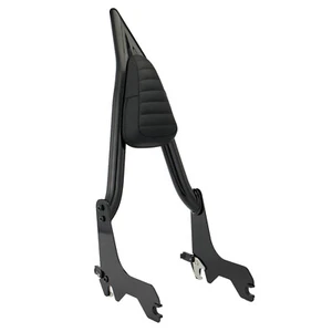 Backrest Sissy Bar for Harley Softail Deluxe Heritage Classic Street Bob 2018-up - Picture 1 of 7