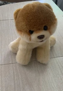 GUND Boo the Pomeranian World's Cutest Dog 4029715 10" Stuffed Animal Plush Toy - Picture 1 of 12