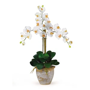 CREAM SILK ORCHID FLOWER ARRANGEMENT w/ WHITEWASH POT - REALISTIC ARTIFICIAL - Picture 1 of 1