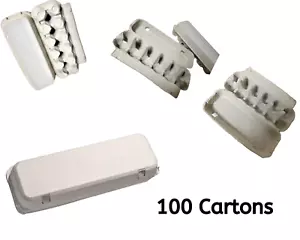 100x Brand New Natural/Rustic 12 Slots Biodegradable Eco Egg Carton Au Seller - Picture 1 of 8