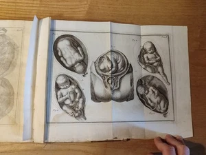 Elementi d'Ostetricia TAVOLE ANATOMICHE Röderer Johann Georg Firenze Albizziana - Foto 1 di 24