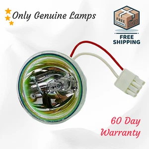 Genuine OEM InFocus Projector Lamp Bulb for InFocus C109 LPX1 No Housing - Picture 1 of 10