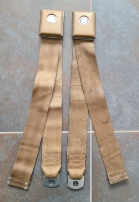 Ford Mustang 1966 1967 original de lujo cinturón de seguridad delantero sillín extremo femenino solo par Foto 1 de 4