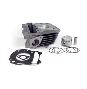 CILINDRO COMPLETO 50CC HERT APRILIA SCARABEO 4T RST 4T 50 2003 2010 - Imagen 1 de 1