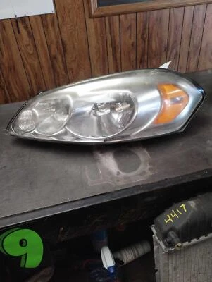 06 07 08 09 10 11 12 13 14 15 16 Rh IMPALA Foto 1 de 2