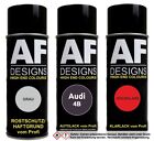 Spraydose Set für Audi 4B Merlin Perl Autolack Klarlack Grundierung