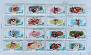 Juego de 16 cartas Topps Allen & Ginter Mini Little Lions 2014 - Imagen 1 de 9