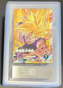 Son Gohan: Childhood SDVZV-002 - Dragon Ball Super Divers - ARS 10+ - Bild 1 von 1