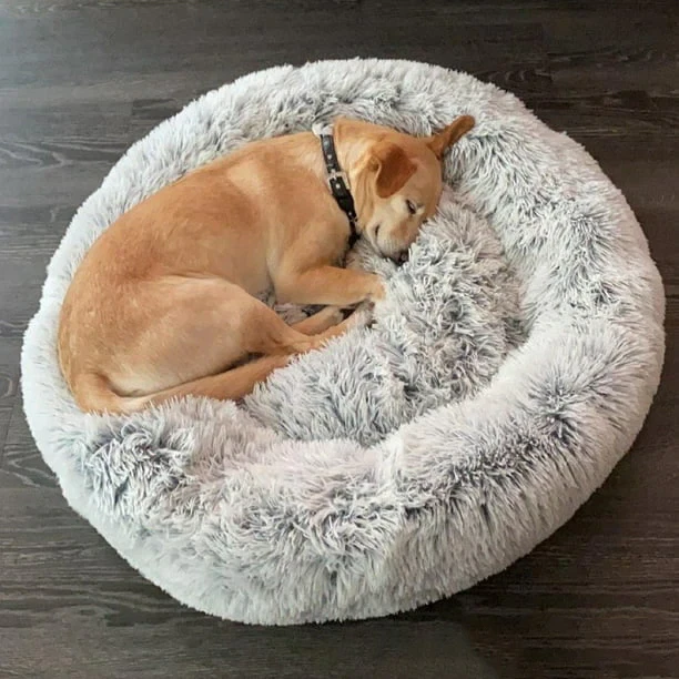 Erhöhtes Hundebett Grau – Bequeme Liegefläche Mit Rutschfester Unterseite