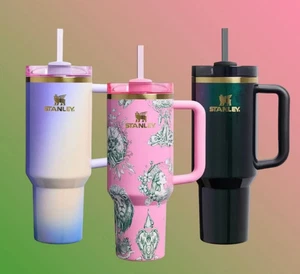 3er Set 2025 Target Stanley X Wicked For Good FlowState Löscher Becher 40 Oz - Bild 1 von 7