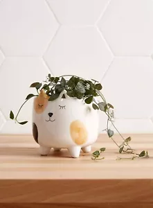 Cute Cat Planter Pot for Succulents & Plants | Animal Planter | Mother's Day - Picture 1 of 2