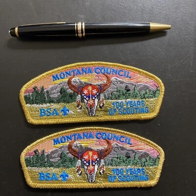Mt. Council 100 Years of Scouting Bison Spirit Skull CSP's - Image 1 of 4