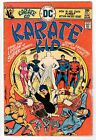 THE KARATE KID #1 1976 FIRST ISSUE DC BRONZE AGE!