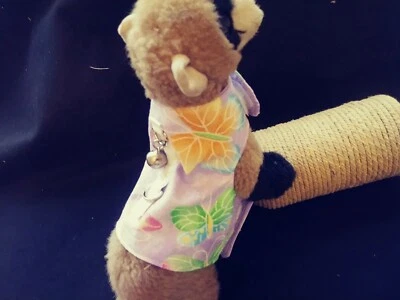 雪貂束带 - 薰衣草带五颜六色闪耀蝴蝶 M/L — 第 1/4 张图片