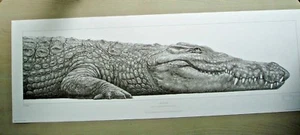 Gary Hodges - Nile Crocodile - Lithograph - Print Only - Ltd Edit - 613 / 1500 - Picture 1 of 10