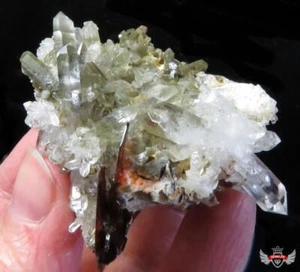 78 gr. MUY BONITO ESPÉCIMEN - VARIOS BROOKITE EN RACIMO DE CUARZO - Imagen 1 de 7