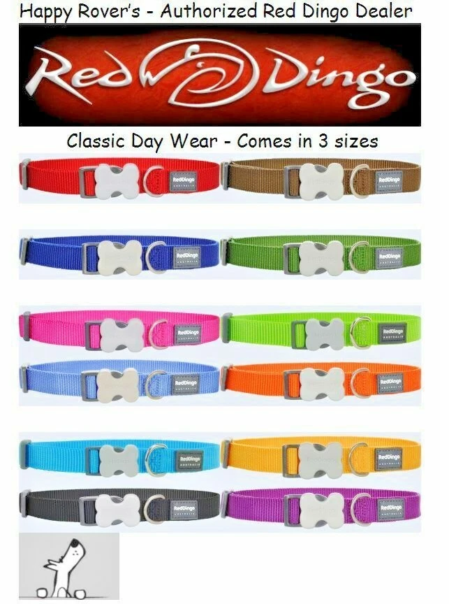 Ошейники для собак PREMIUM RED DINGO — все размеры/цвета — повседневные классические твердые - Изображение 1 из 1