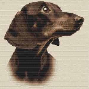 Dackel (Sepia) Kreuzstich Design (Set oder Karte) - Bild 1 von 1