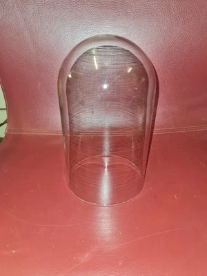 Vintage Glasvitrine Kuppel Cloche - Bild 1 von 4