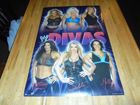 WWE 2004 Divas Poster 34 X 22 WWF Victoria Sable Trish Stratus RARE LAST ONE! Cover