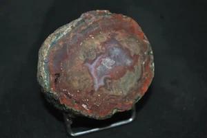 AGATES DE FRÉJUS ( VAR ) LITHOPHYSES DE L'ESTEREL - Imagen 1 de 4