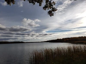 Calm Lake View Digital Photo, Desktop Wallpaper, Cellphone Wallpaper - Picture 1 of 1