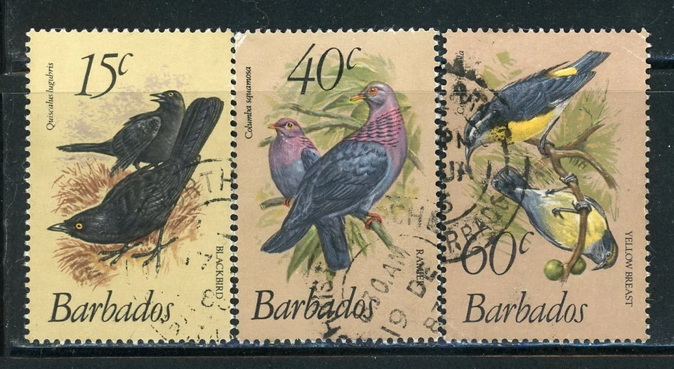 巴巴多斯 570-72 SG682-84 二手 1982 年最终鸟类 3 件套简历 17 美元 — 第 1/1 张图片