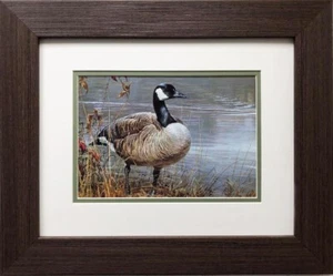 Robert Bateman "Pride of Autumn- Canada Geese" FRAMED Art Nature Wildlife Bird - Picture 1 of 3