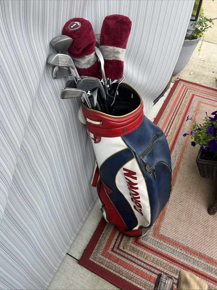 Wilson Profile SGI Mens Golf Club Set  Driver, Irons, Bag, Putter RH See Desc - Image 1 of 4
