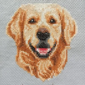 Punto croce rifinito GOLDEN RETRIEVER fatto a mano decorazione casa senza cornice 5"x5" - Foto 1 di 7
